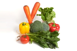 Different variety of vegetables
